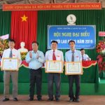 Nông trường Xa Cam (Cao su Bình Long): 14 năm liên tục năng suất vườn cây trên 2 tấn/ha
