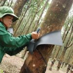 Nhiều giải pháp quyết liệt vượt khó