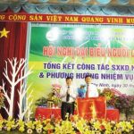 Cao su Tây Ninh thu nhập bình quân trên 8,7 triệu đồng/người