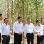 Lãnh đạo tỉnh Kampong Thom tích cực hỗ trợ các công ty cao su thuộc VRG