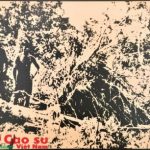 Các đồn điền cao su ra đời