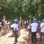 Vài nét về ngành cao su Côte d’Ivoire