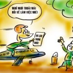 Dưỡng sức cho mùa cạo mới