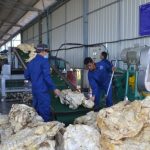 Sản xuất SVR 10, 20 theo công nghệ mới nhằm giảm suất đầu tư