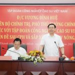 VRG đã thực hiện tốt công tác cổ phần hóa