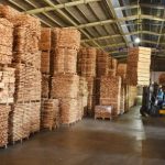Ổn định diện tích cao su, nâng công suất chế biến