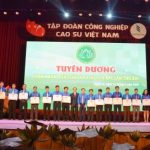 Tuyên dương những tấm gương thanh niên xuất sắc của VRG