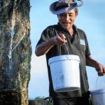 Ảnh dự thi Ánh sáng từ dòng vàng trắng lần thứ V năm 2019