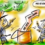 Chuyện osin