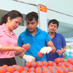Sản xuất đồ chơi cho thú cưng - Hướng đi mới