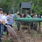 Áp dụng cơ giới hóa yếu tố hàng đầu để tăng năng suất lao động