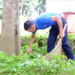 Đoàn Thanh niên Cao su Phú Riềng: Sôi nổi các hoạt động tình nguyện
