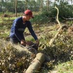 Bố trí hợp lý công việc để người lao động yên tâm công tác
