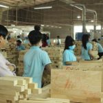 Mời tham gia chia sẻ trực tuyến: Tổng quan về FSC(R) - Chứng nhận nguồn gốc gỗ bền vững