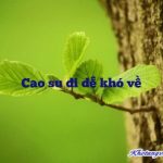 Duyên nợ