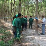 Cần cơ chế hỗ trợ người lao động làm việc ở Lào, Campuchia