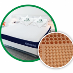 Dorufoam tích cực ra mắt sản phẩm mới