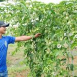 Cách tốt để cải thiện cuộc sống
