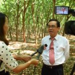 Xây dựng quy trình để đạt được hai chứng chỉ FSC và SFMI