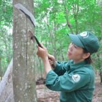 Học Bác từ những điều bình dị, gần gũi với đời sống hàng ngày