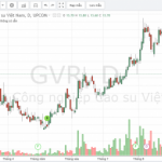 Tăng giảm liên quan cổ phiếu khu công nghiệp