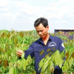 “Tôi học được ở Bác sự kiên định, tính kiên trì”