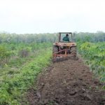 Nông trường Bến Củi, Công ty CPCS Tây Ninh: Nâng cao hiệu quả sản xuất nhờ cơ giới hóa