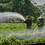 Tiến tới Đại hội Thi đua yêu nước VRG lần V