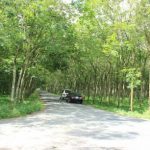 Nông thôn mới trên vùng đất Long Tân