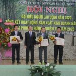 Năng suất vườn cây Cao su Lộc Ninh đạt 2,03 tấn/ha