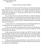 VRG yêu cầu các đơn vị triển khai làm việc trực tuyến
