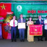Cao su Krông Búk: Chế biến sản phẩm theo tiêu chuẩn VRG đạt 168%