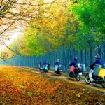 Đại hội Thi đua yêu nước VRG lần V, năm 2020: Trang trọng, tiết kiệm, hiệu quả