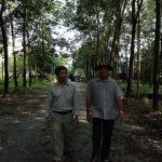 Làm giàu trên đất cao su
