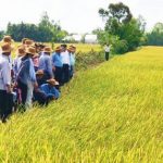 Tập đoàn Quế Lâm: Thêm nhiều mô hình sản xuất hữu cơ mới