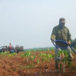 Cây không phụ lòng người