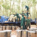 Luôn gắn chặt lợi ích người lao động với lợi ích vườn cây