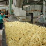 Ảnh hưởng của dịch bệnh Covid-19: Các lĩnh vực đều gặp khó