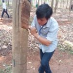 Lê Kim Phú: Nỗ lực học hỏi, hoàn thành tốt nhiệm vụ