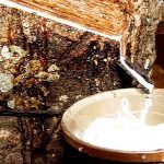 Giá cao su 25/6: Phiên sáng giảm nhẹ