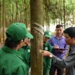 Cao su Phú Riềng điển hình trong phong trào luyện tay nghề - thi thợ giỏi