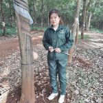 Tận tâm với vườn cây