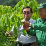 Cao su Đồng Nai: Phát triển gắn liền với mục tiêu Doanh nghiệp - xã hội - môi trường