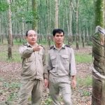 Nghị lực vươn lên của một Bí thư chi bộ