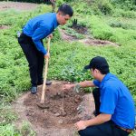 Đoàn thanh niên Cao su Lộc Ninh ra quân trồng 4.500 cây xanh