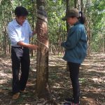 Đinh Hữu Sáng: Người tổ trưởng tận tụy, nhiệt tình