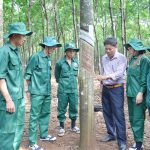 Thi đua từ những đường cạo