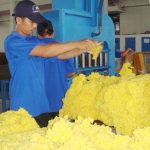 Việt Nam cung cấp cao su lớn thứ 2 cho Trung Quốc