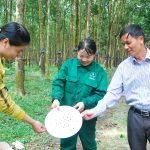Một lòng với nghề