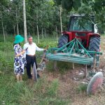 Cao su Tây Ninh: Điểm sáng ứng dụng cơ giới hóa vào tái canh trồng mới
